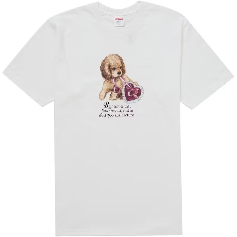Supreme White Dust t-shirt. NEW IN BAG. Never worn.